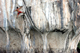 aa deep water solo climb railay